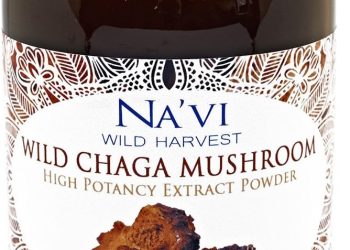NAVI Wild Chaga Mushroom Extract Powder